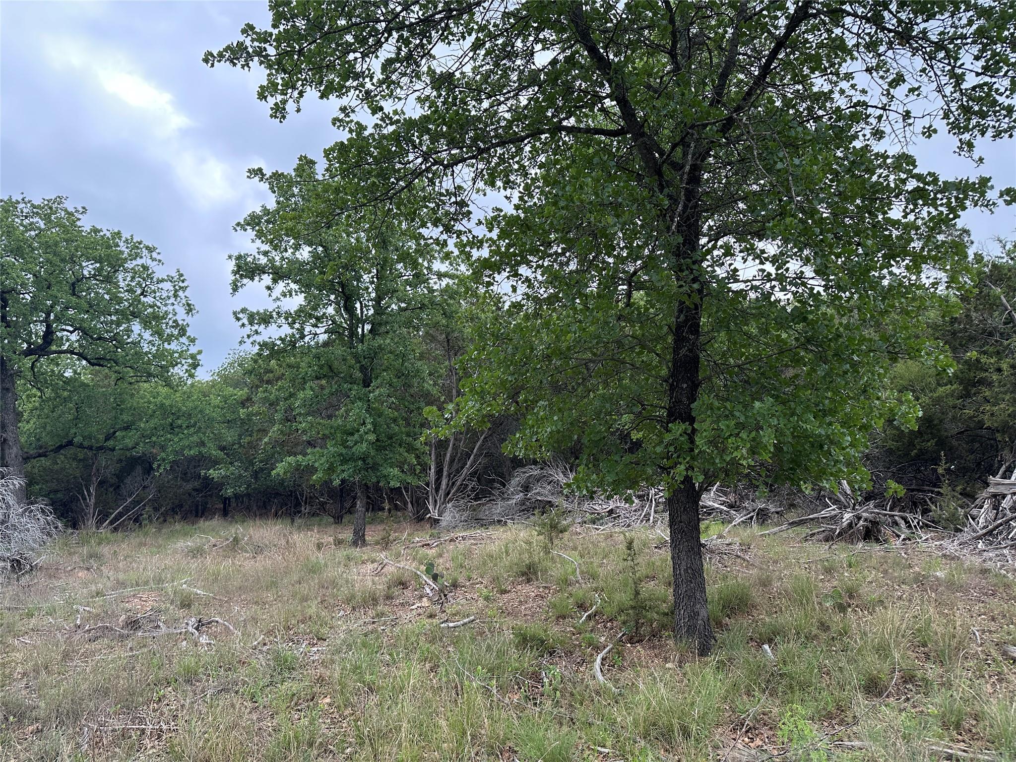 125 Hillcrest DR, Gatesville, TX 76528 photo 5