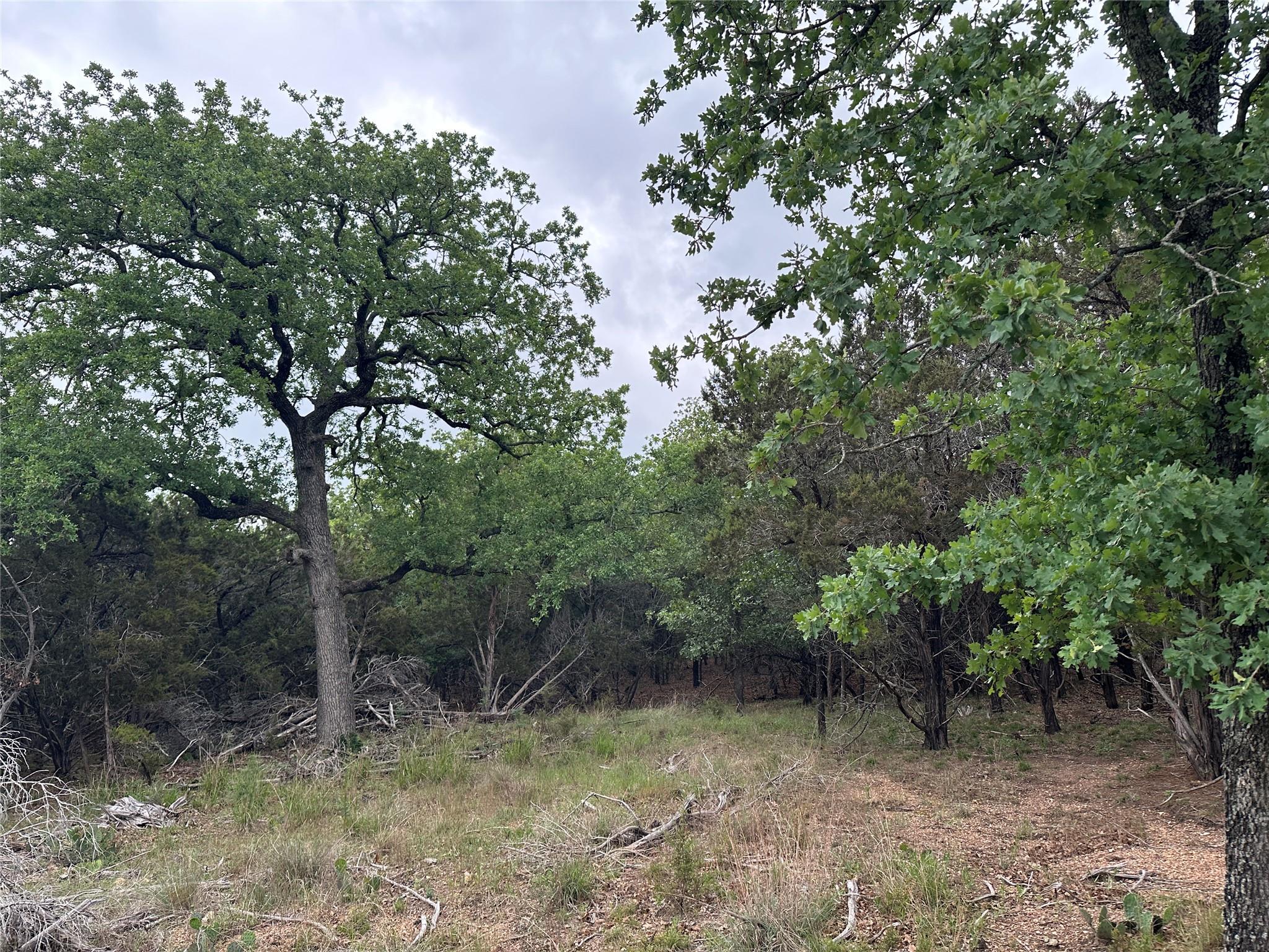 125 Hillcrest DR, Gatesville, TX 76528 photo 4