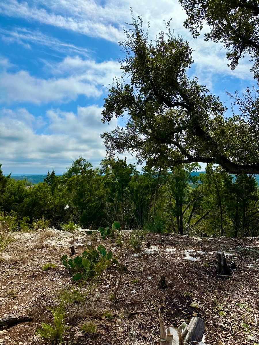 795 Cimarron, Spring Branch, TX 78070 photo 2