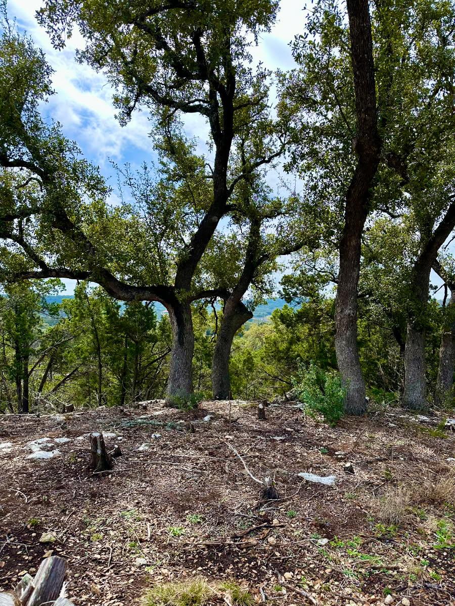 795 Cimarron, Spring Branch, TX 78070 photo 3
