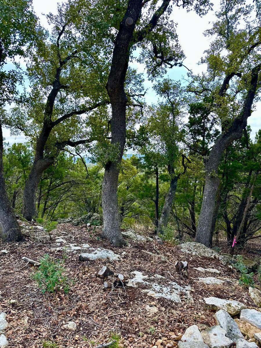 795 Cimarron, Spring Branch, TX 78070 photo 5