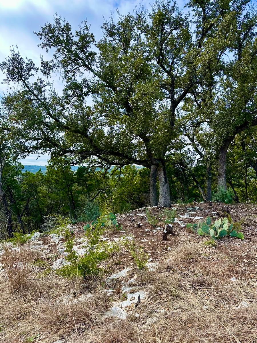 795 Cimarron, Spring Branch, TX 78070 photo 4