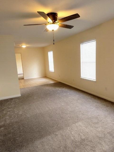 519 Hutchison ST #C, San Marcos, TX 78666 photo 5