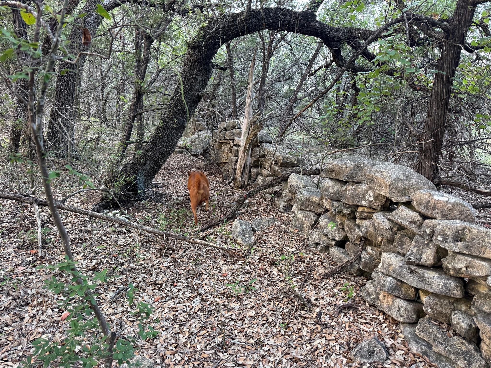 0000 Round Mountain RD, Leander, TX 78641 photo 3