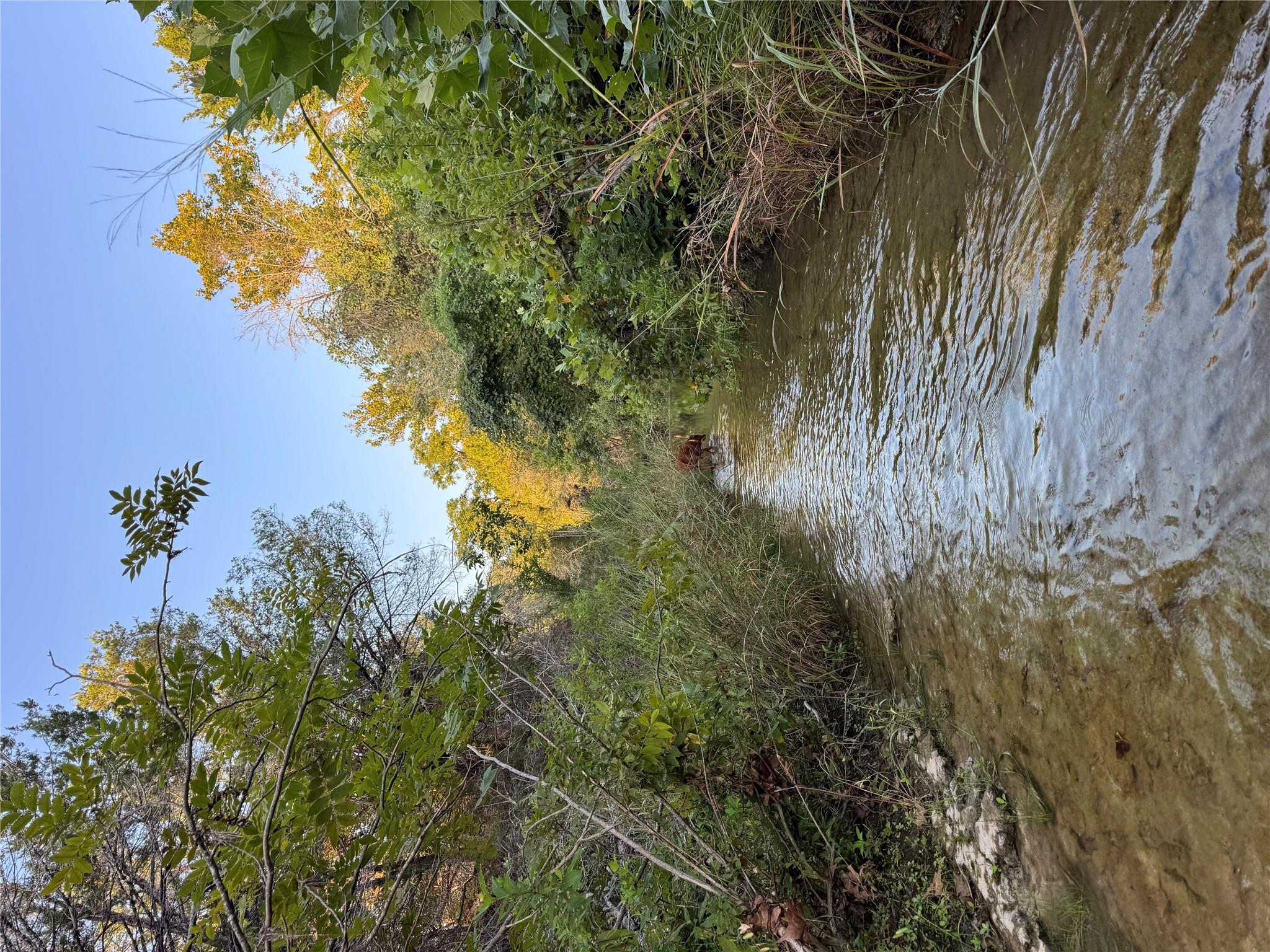 0000 Round Mountain RD, Leander, TX 78641 photo 5