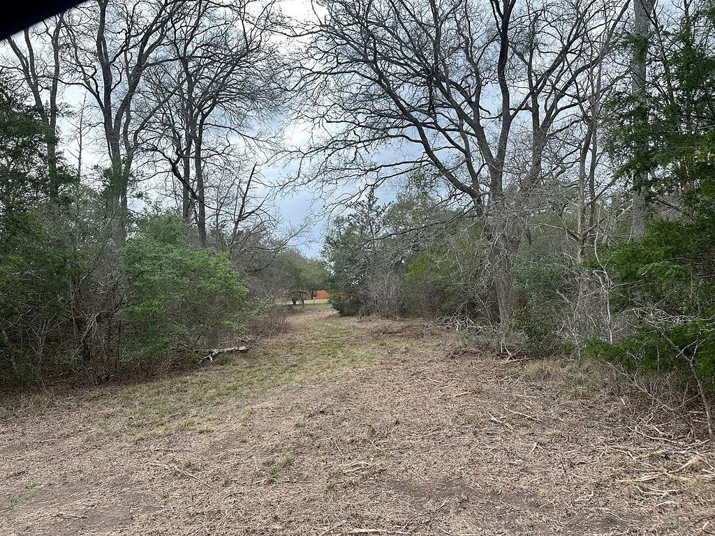 Pin Oak Estates