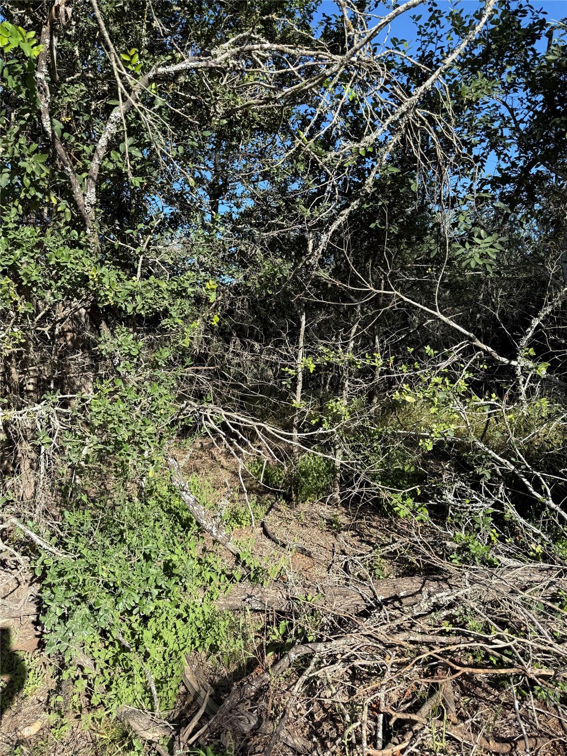 152 Helemano DR, Bastrop, TX 78602 photo 2