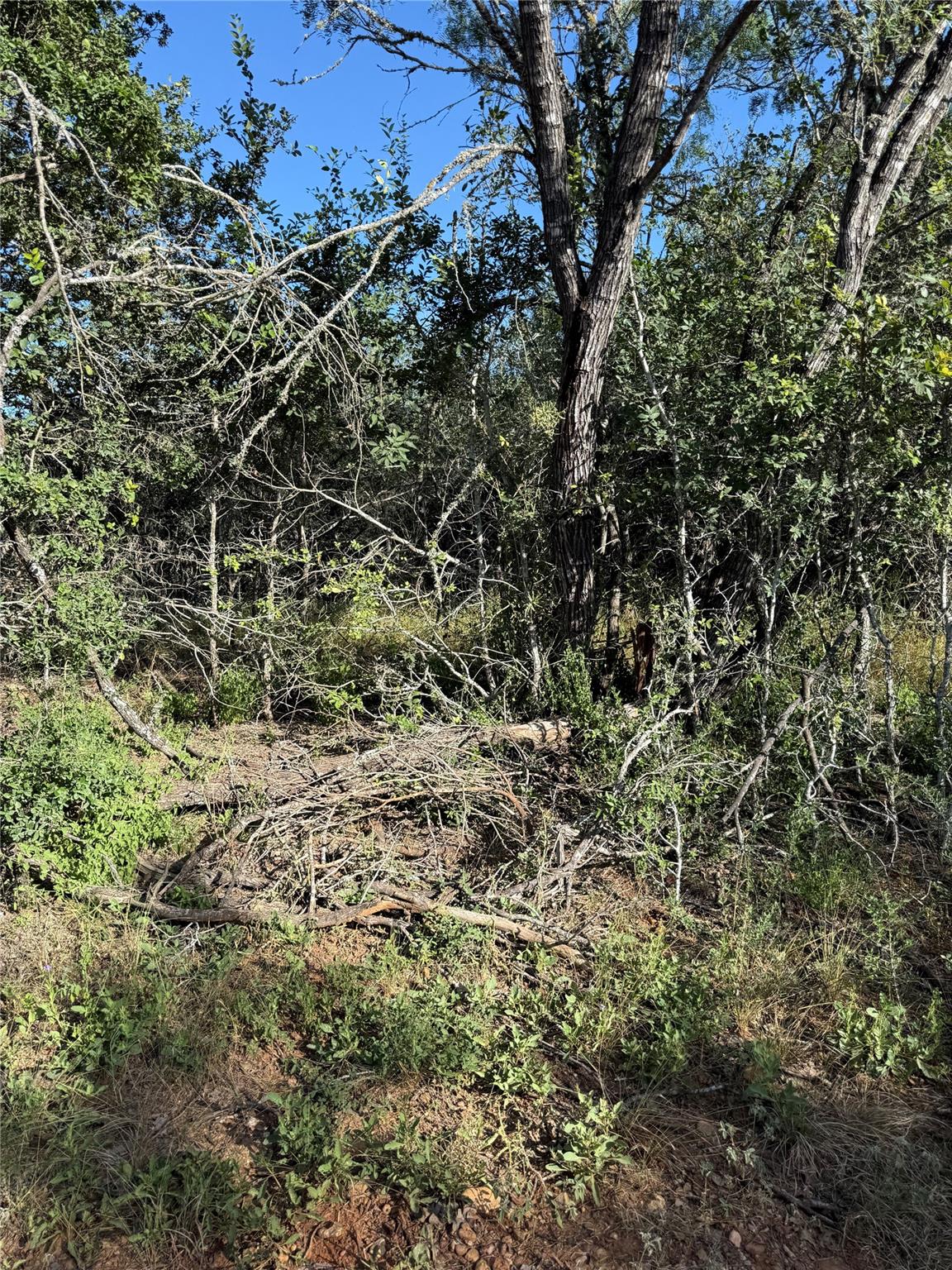 152 Helemano DR, Bastrop, TX 78602 photo 3