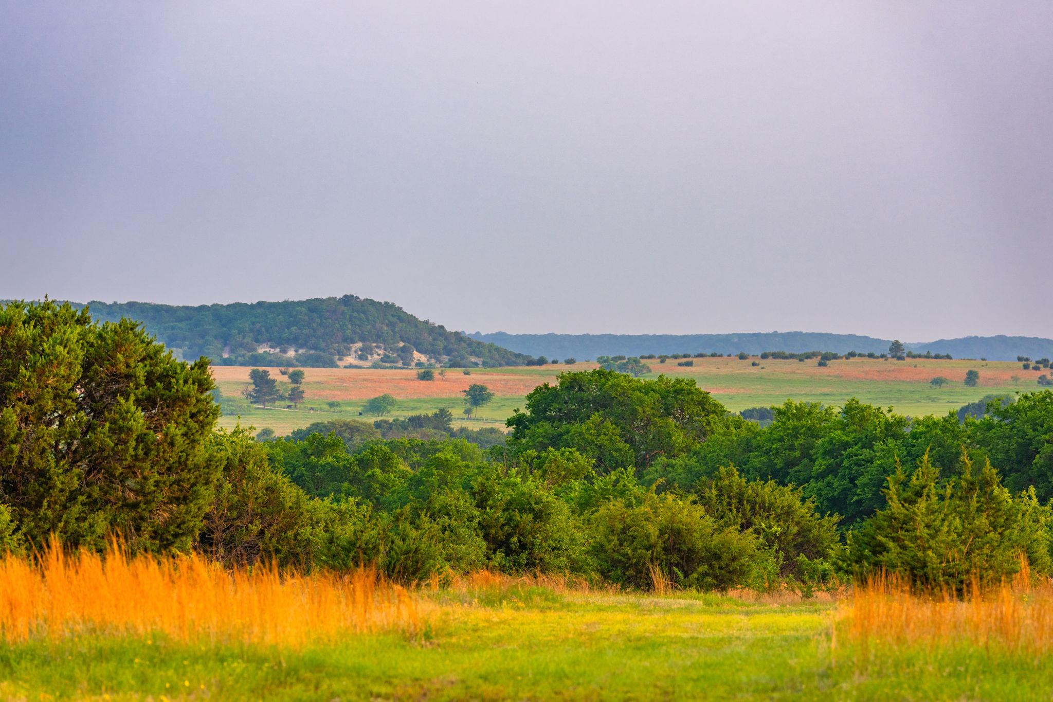 2170 County Road 228, Hico, TX 76457 photo 2