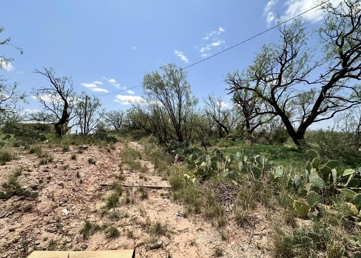 1900 4th ST, Big Spring, TX 79720 photo 3
