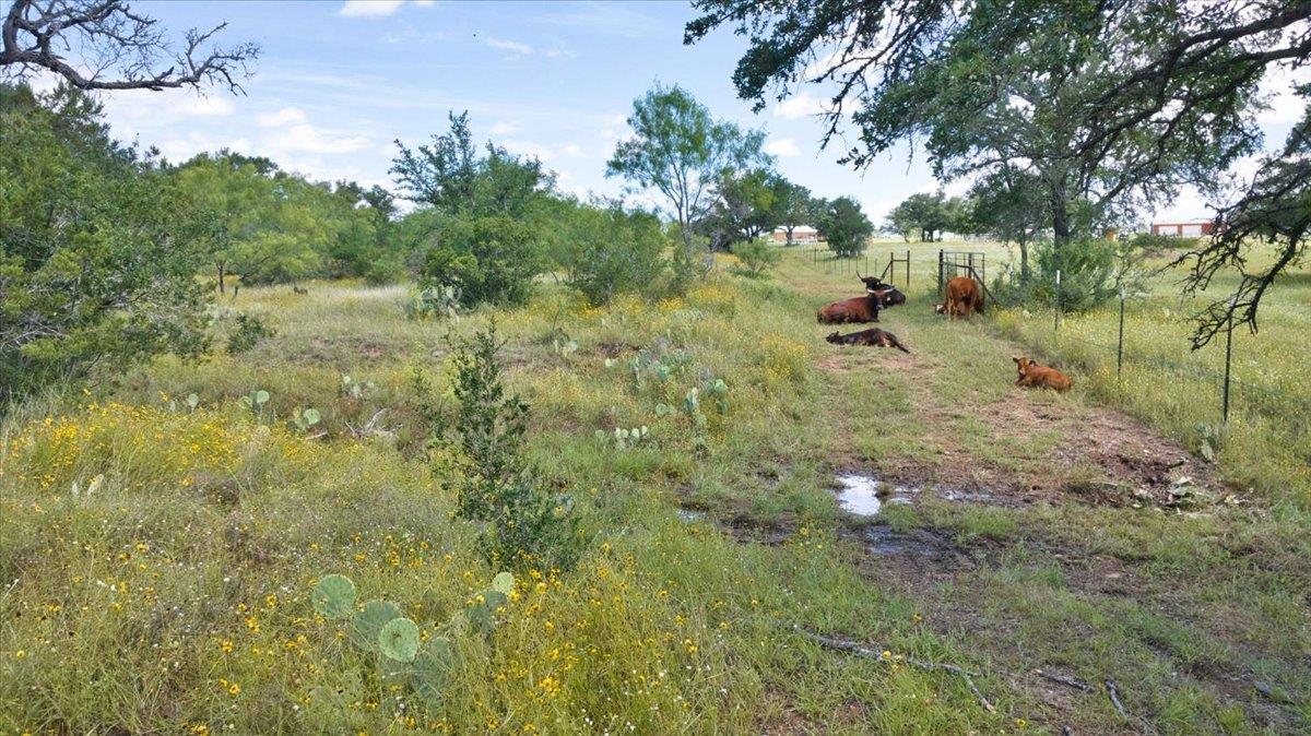 2144 CR 307, Kingsland, TX 78639 photo 5