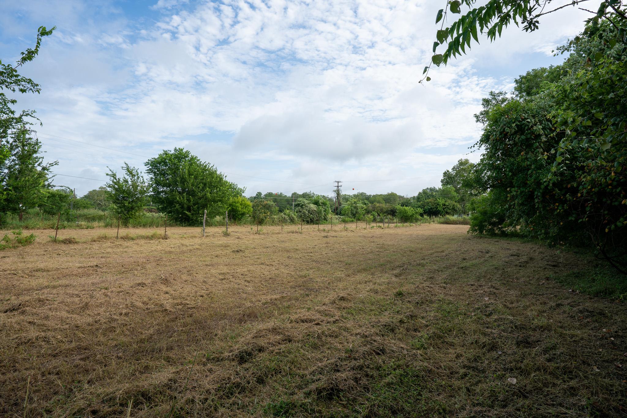 2774 Citation DR, Del Valle, TX 78617 photo 3