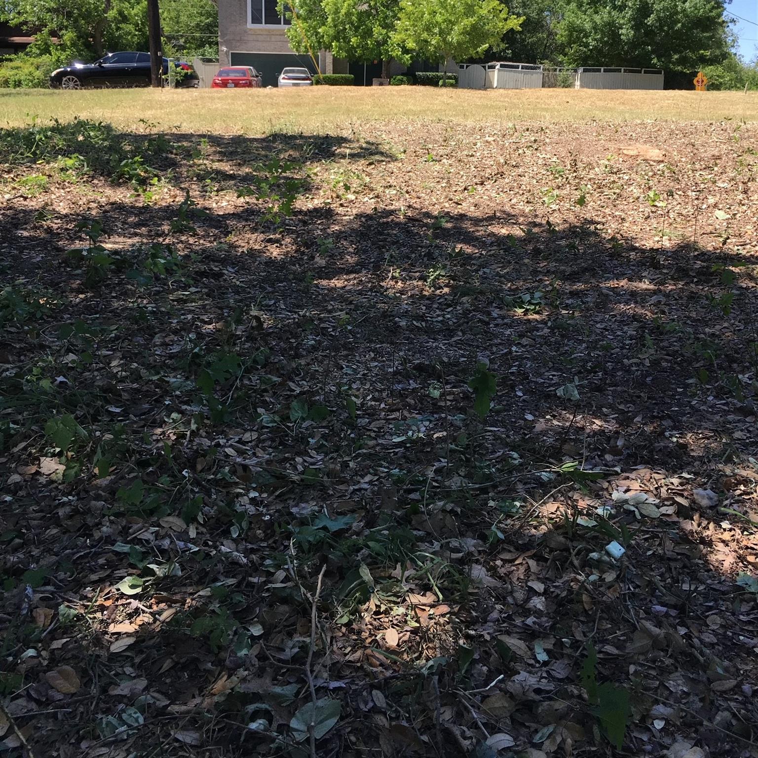 11506 June DR, Austin, TX 78753 photo 4