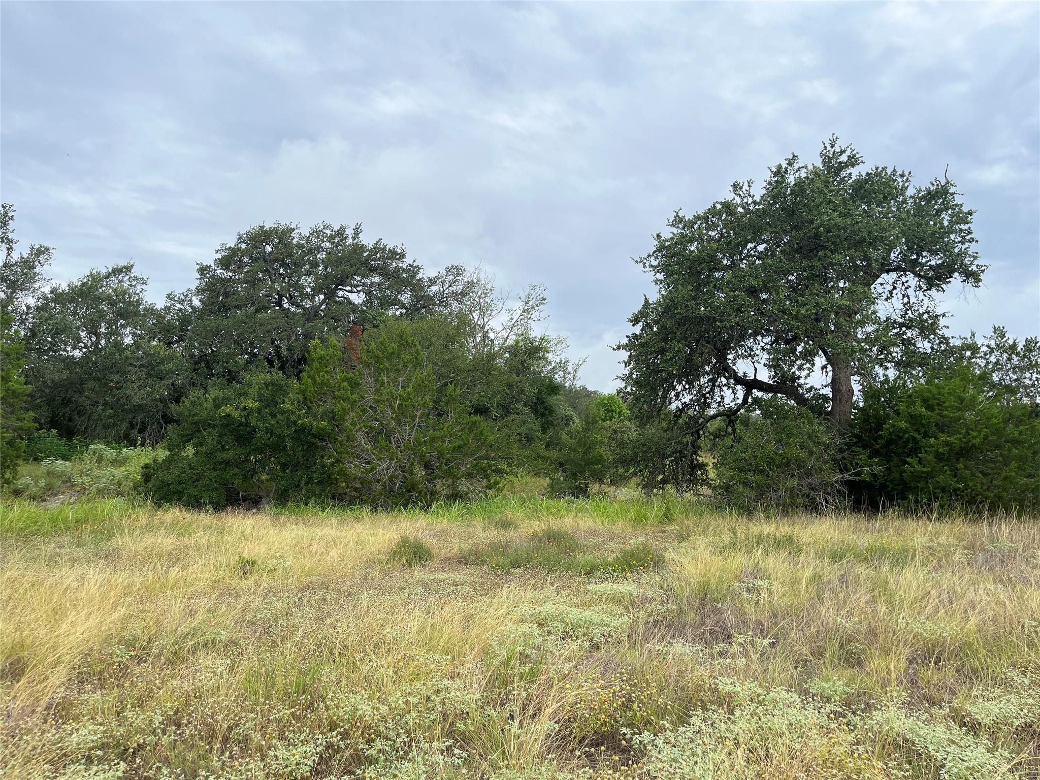 0 Arbor TRL, Buda, TX 78610 photo 2