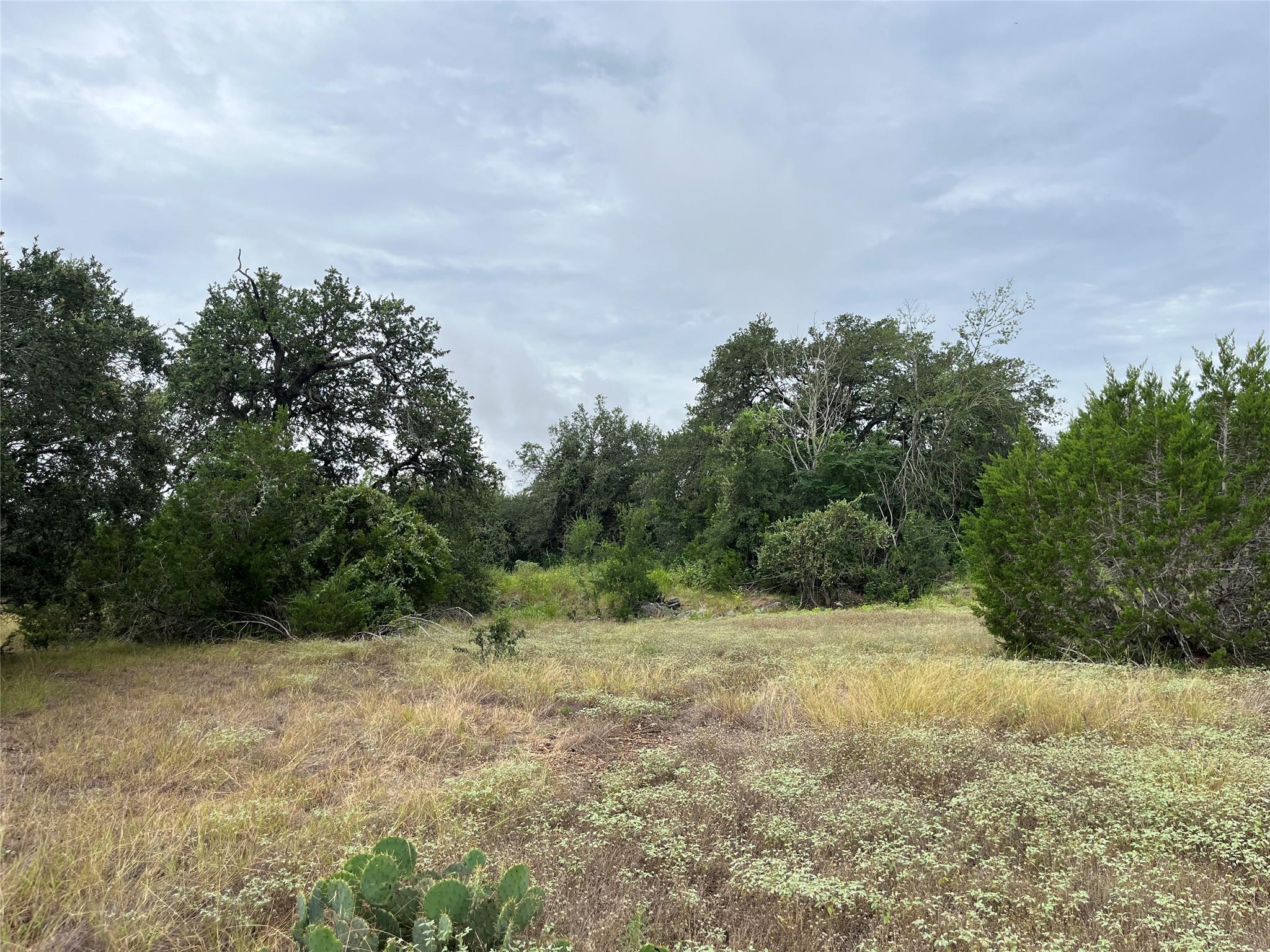 0 Arbor TRL, Buda, TX 78610 photo 3