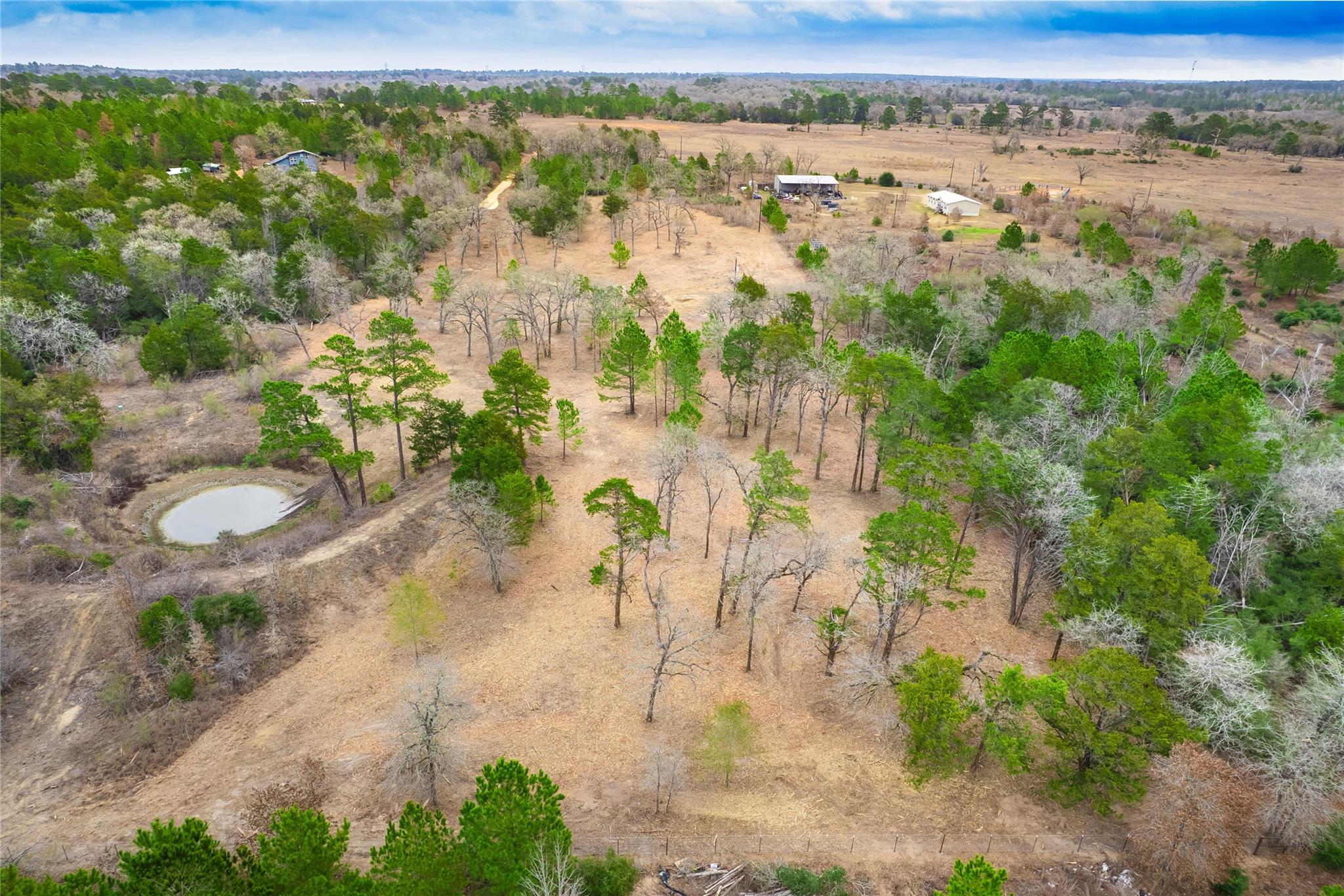 123 Abbey LN, Smithville, TX 78957 photo 3