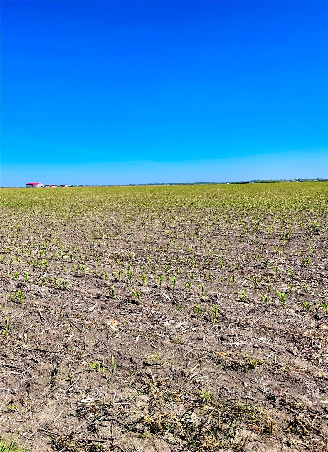 TBD Tract 4 Lund Carlson RD, Coupland, TX 78615 photo 5