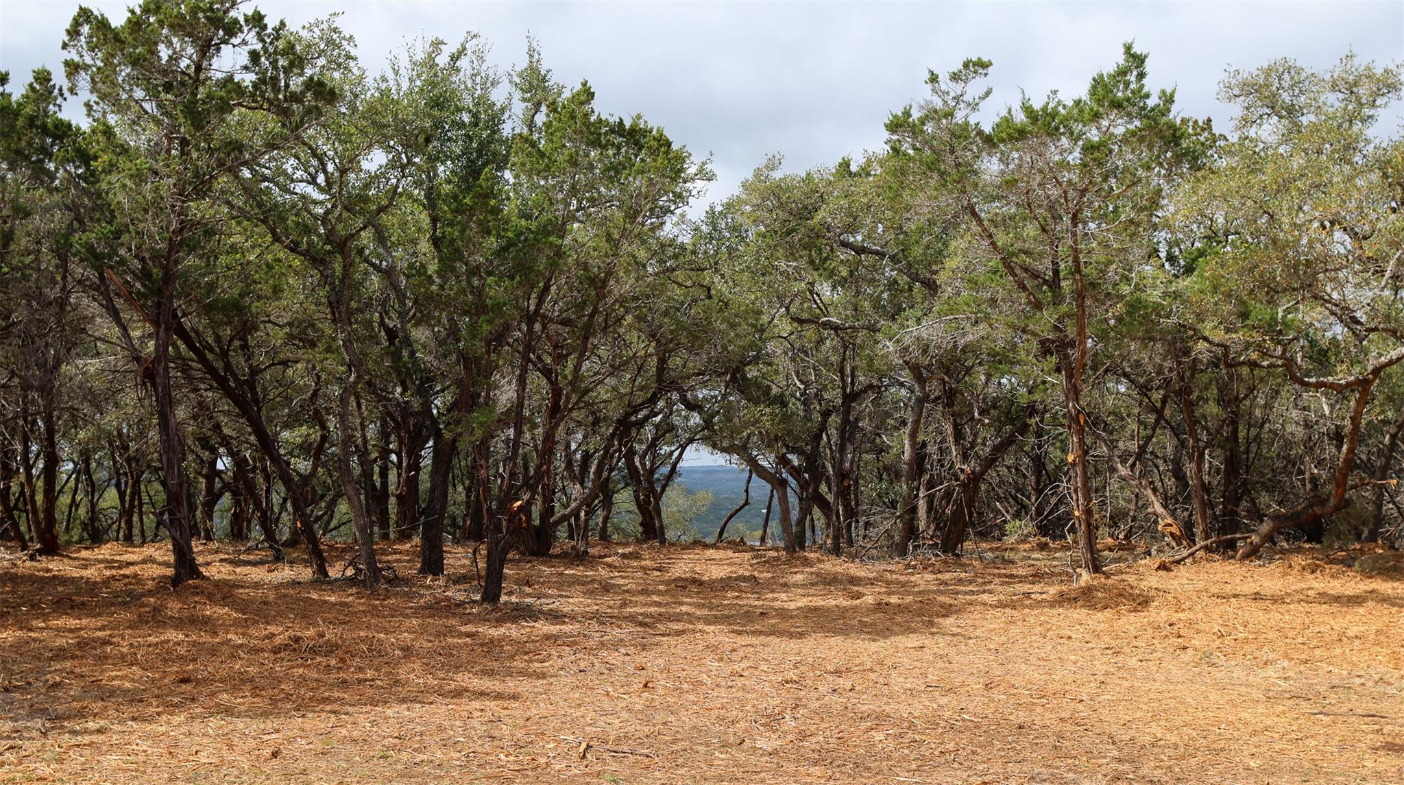 Tract 4 Buttercup LN, Wimberley, TX 78676 photo 2