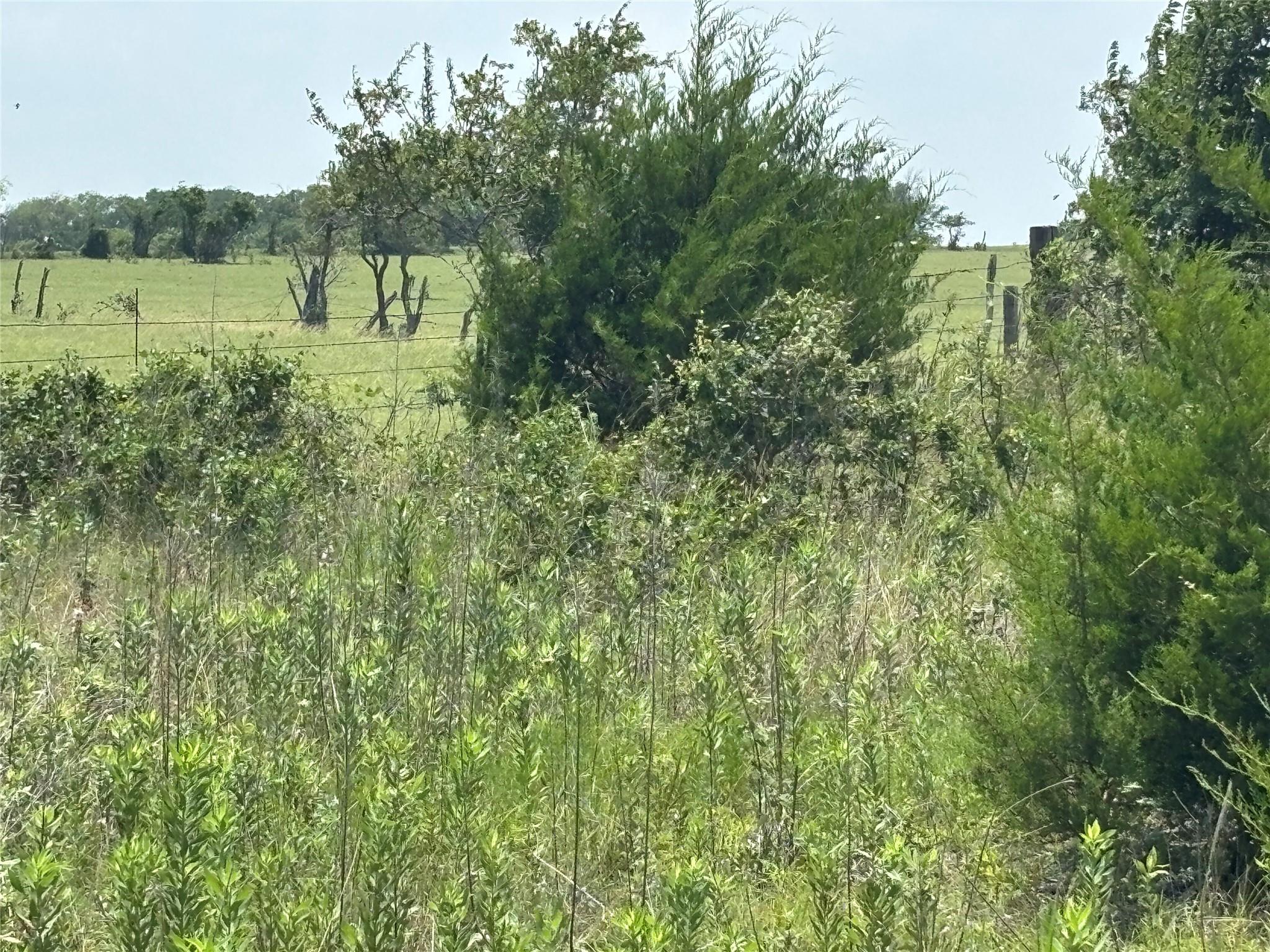 1500 Bottoms East RD, Troy, TX 76579 photo 2