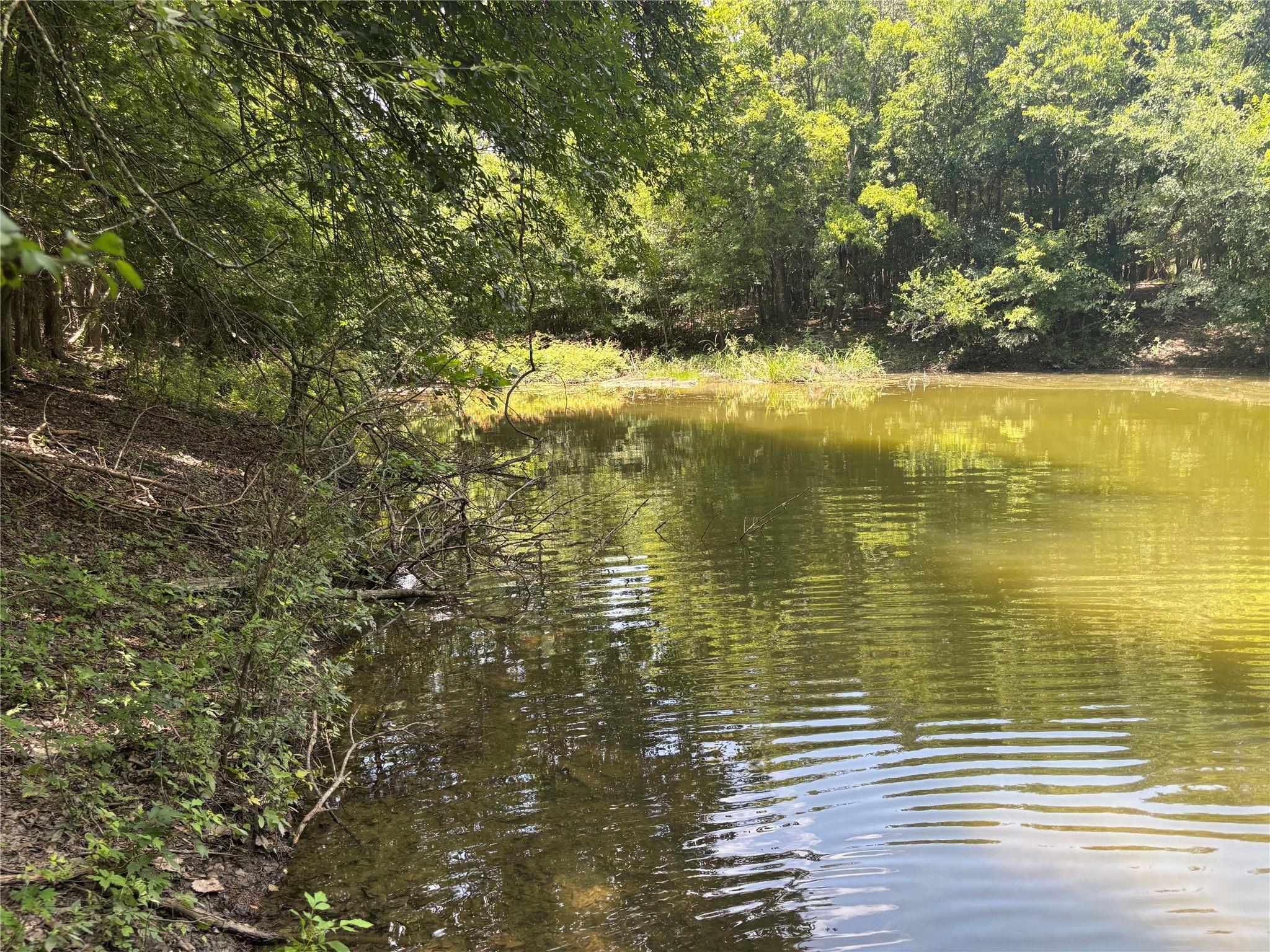 1500 Bottoms East RD, Troy, TX 76579 photo 5