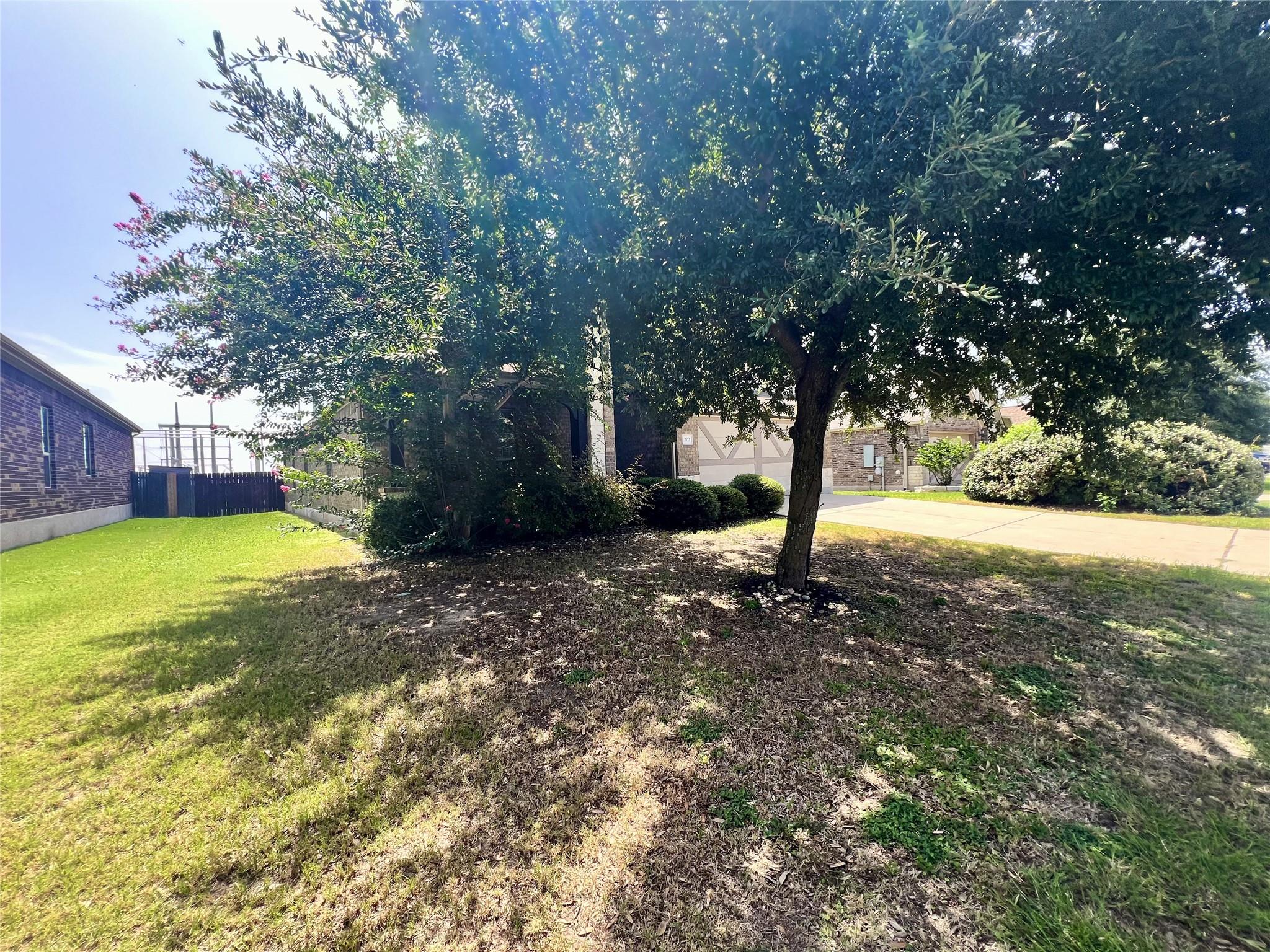 202 Emory Fields DR, Hutto, TX 78634 photo 3