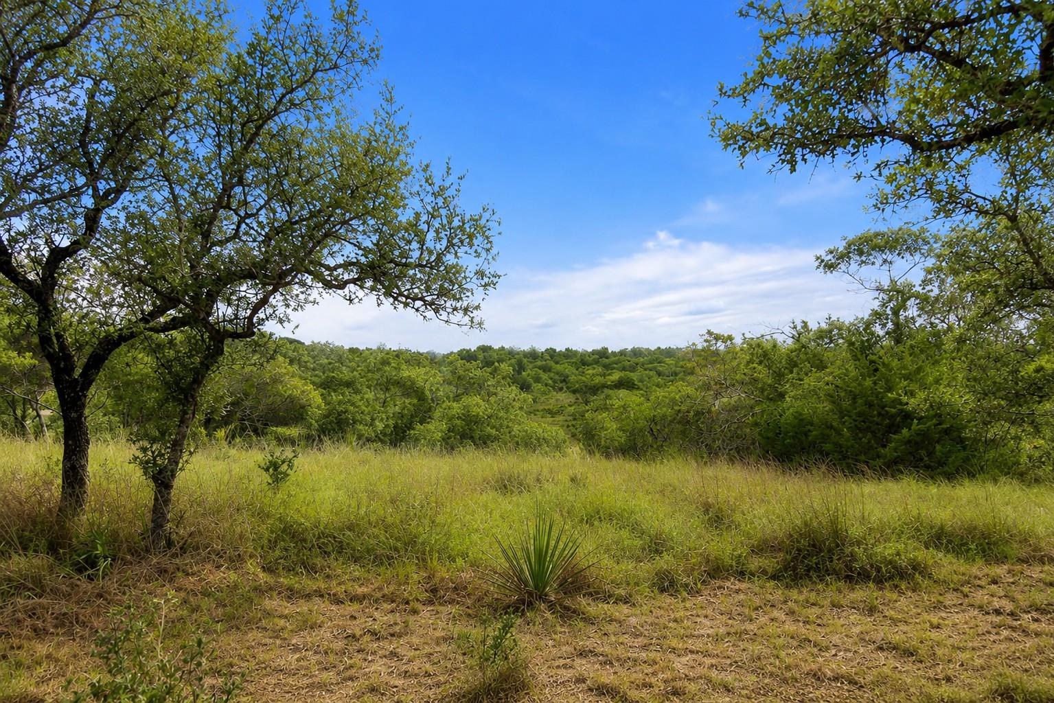 2126 Hidden Valley Ranch RD, Johnson City, TX 78636 photo 3