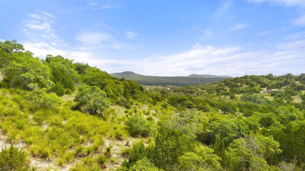 2126 Hidden Valley Ranch RD, Johnson City, TX 78636 photo 5
