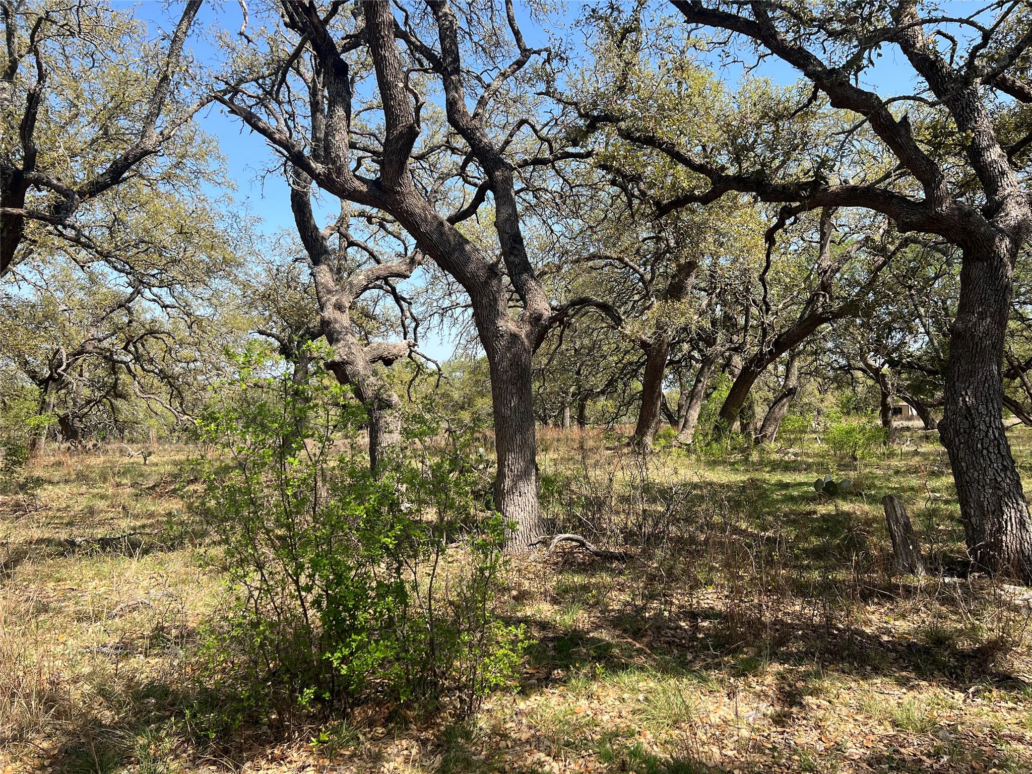 Lot 43 Waterbuck WAY, Lampasas, TX 76550 photo 2