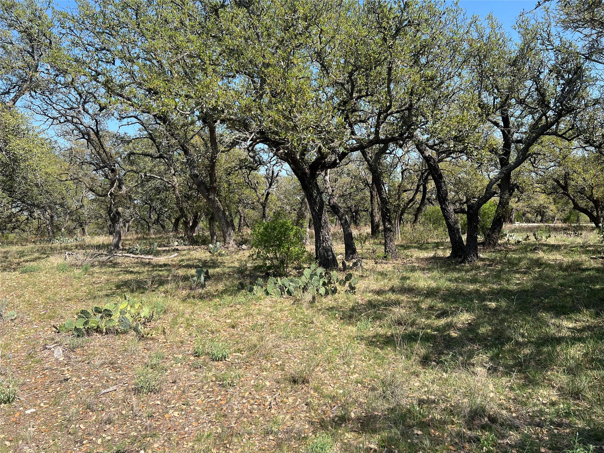 Lot 43 Waterbuck WAY, Lampasas, TX 76550 photo 3