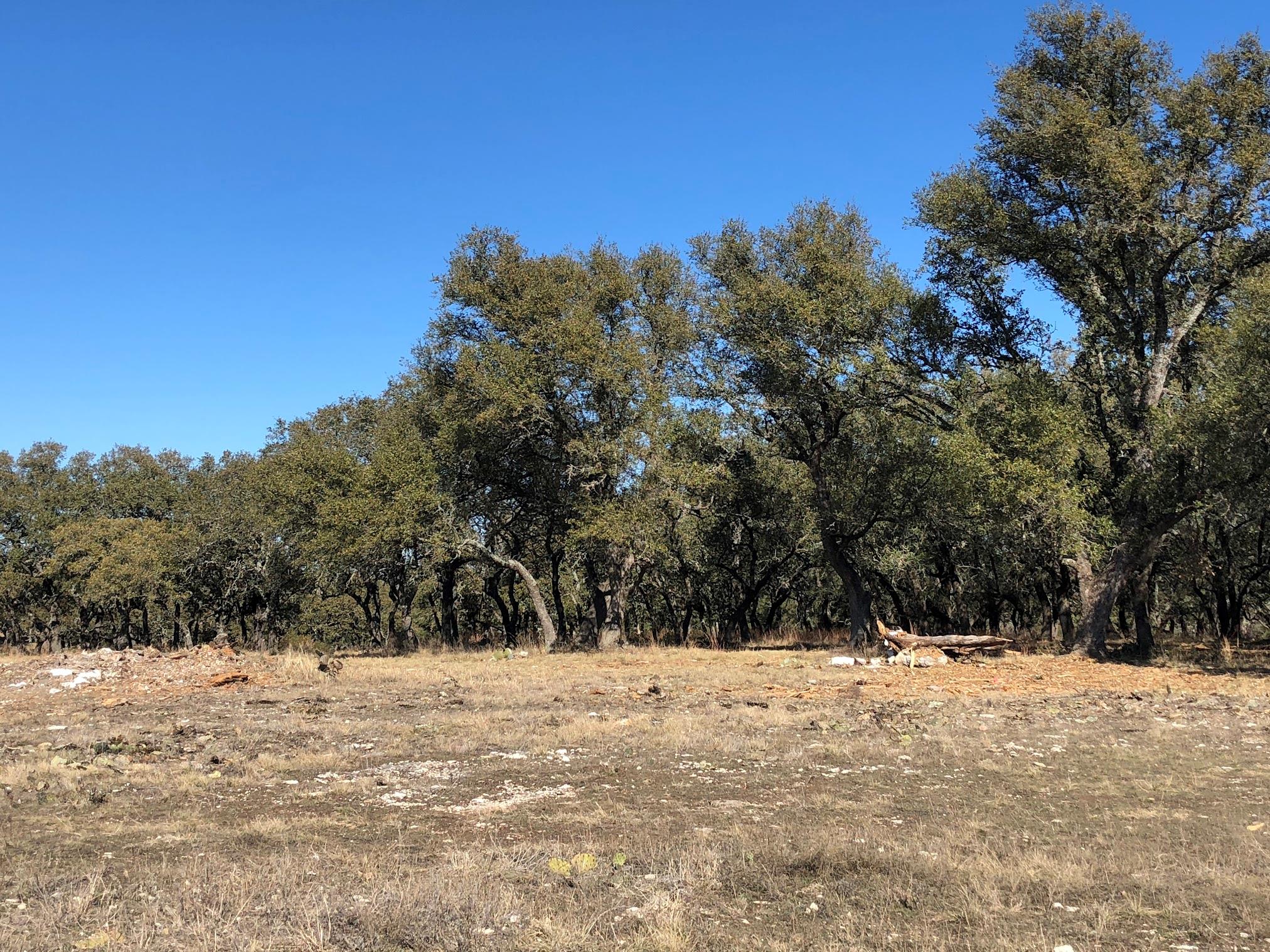 Lot 43 Waterbuck WAY, Lampasas, TX 76550 photo 5