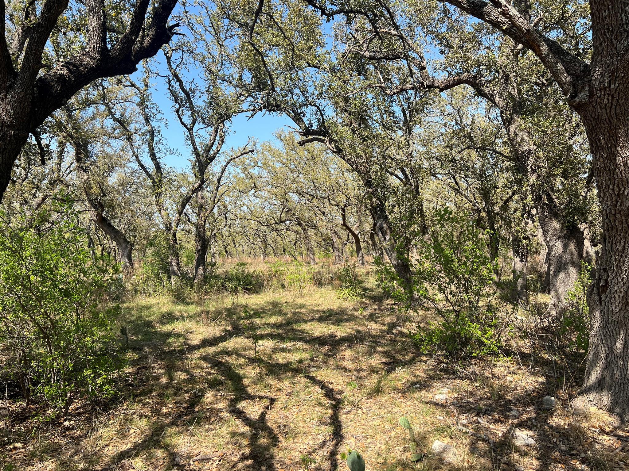 Lot 43 Waterbuck WAY, Lampasas, TX 76550 photo 4