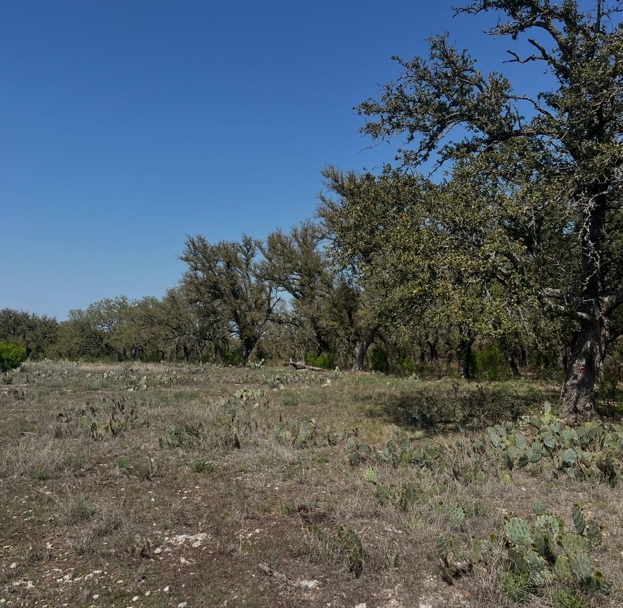Ranches at Blackbuck Ridge