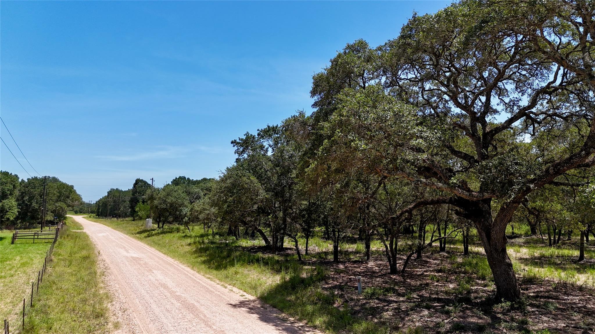 Wilderness Oaks