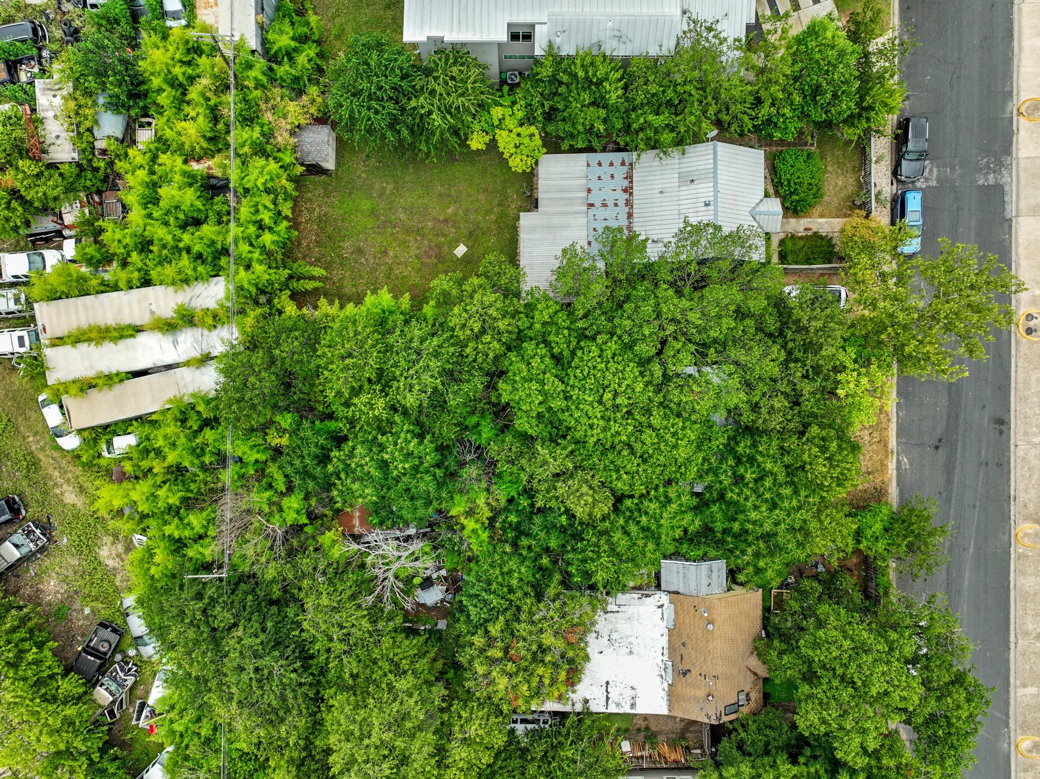 5309 Martin Ave, Austin, TX 78751 photo 3