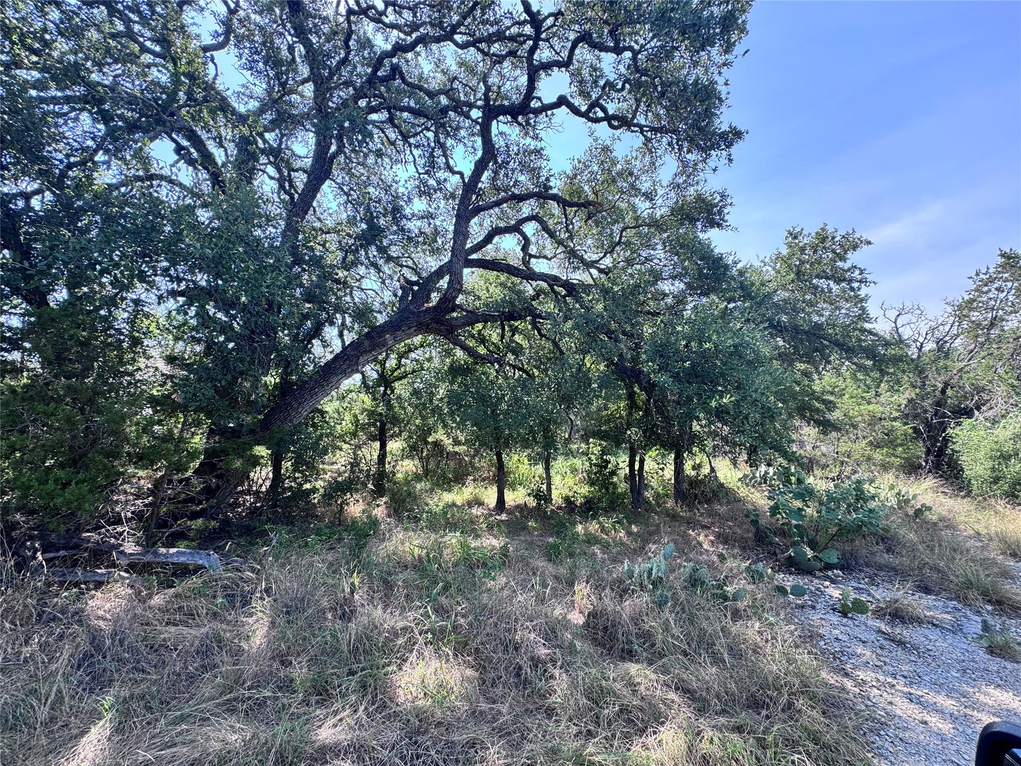 TBD Hill ST, Burnet, TX 78611 photo 2