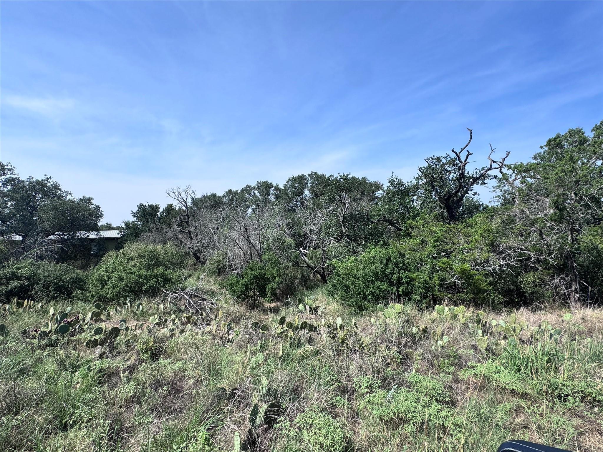 TBD Hill ST, Burnet, TX 78611 photo 3