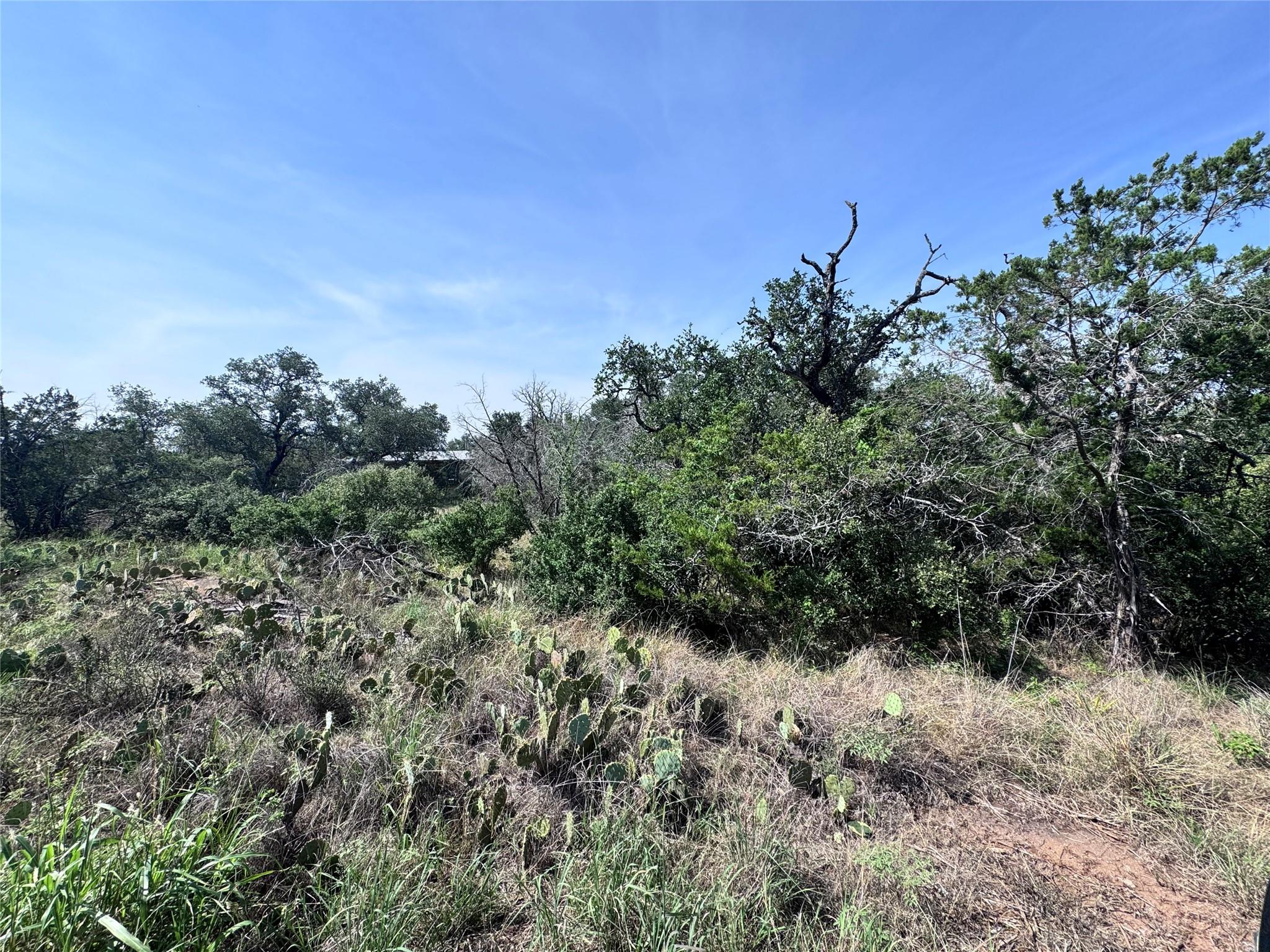 TBD Hill ST, Burnet, TX 78611 photo 4
