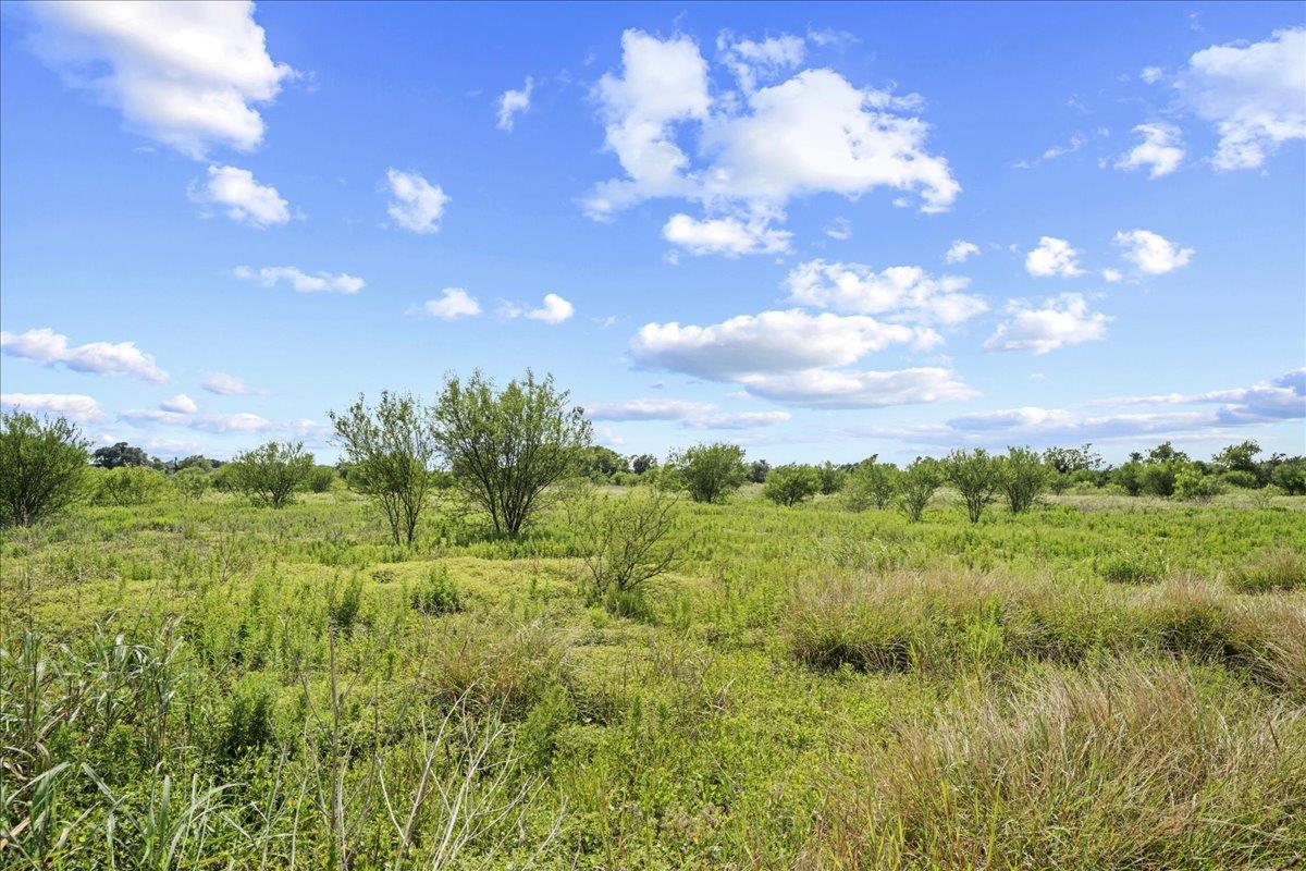 399 Prune RD, La Grange, TX 78945 photo 5
