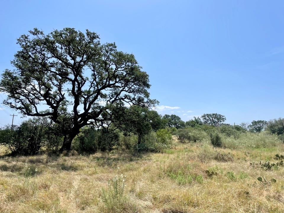Lot 1 Legacy Ridge, Burnet, TX 78611 photo 2