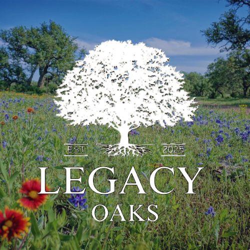 Lot 1 Legacy Ridge, Burnet, TX 78611 photo 3