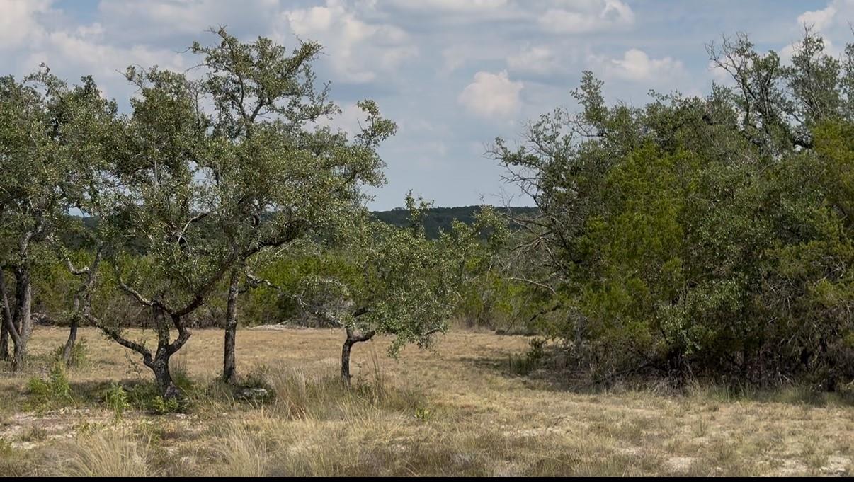 Round Mountain Reserve
