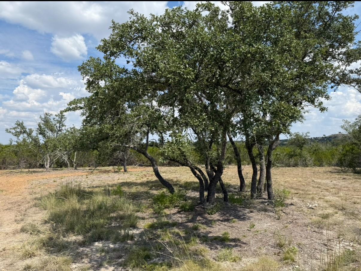 Lot 36 - 6.65 Acres - Round Mountain Reserve DR, Round Mountain, TX 78663 photo 4
