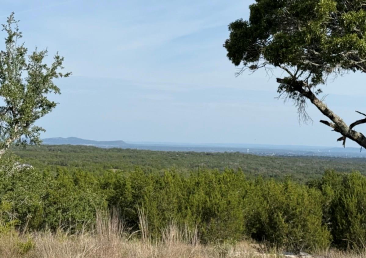 Round Mountain Reserve