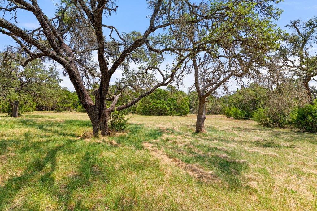 1984 Grape Creek RD, Fredericksburg, TX 78624 photo 5