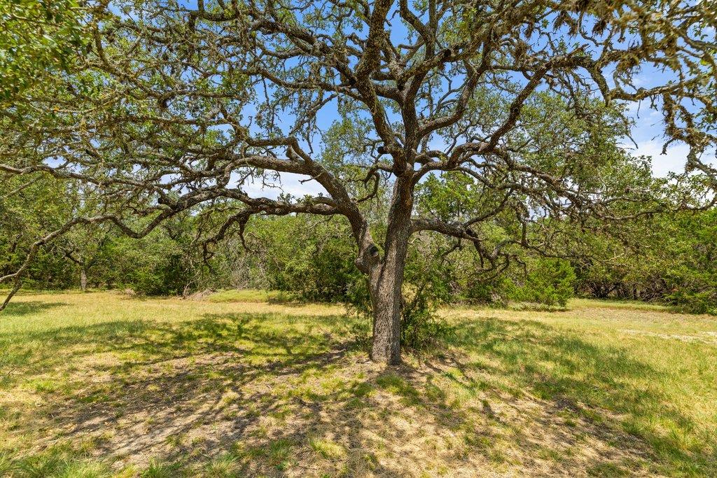 1984 Grape Creek RD, Fredericksburg, TX 78624 photo 4