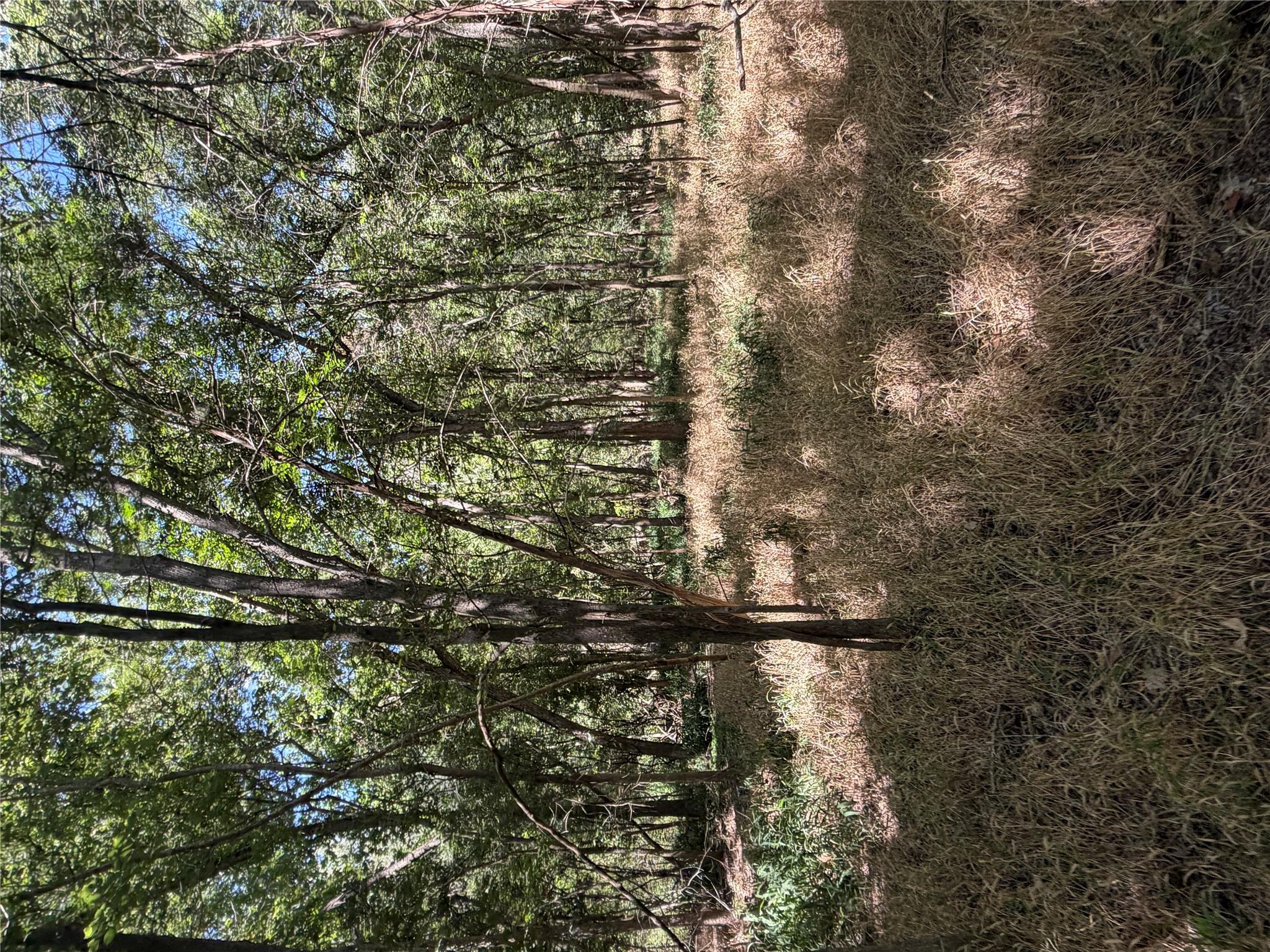Lot 677 Kaukonahua LN, Bastrop, TX 78602 photo 2