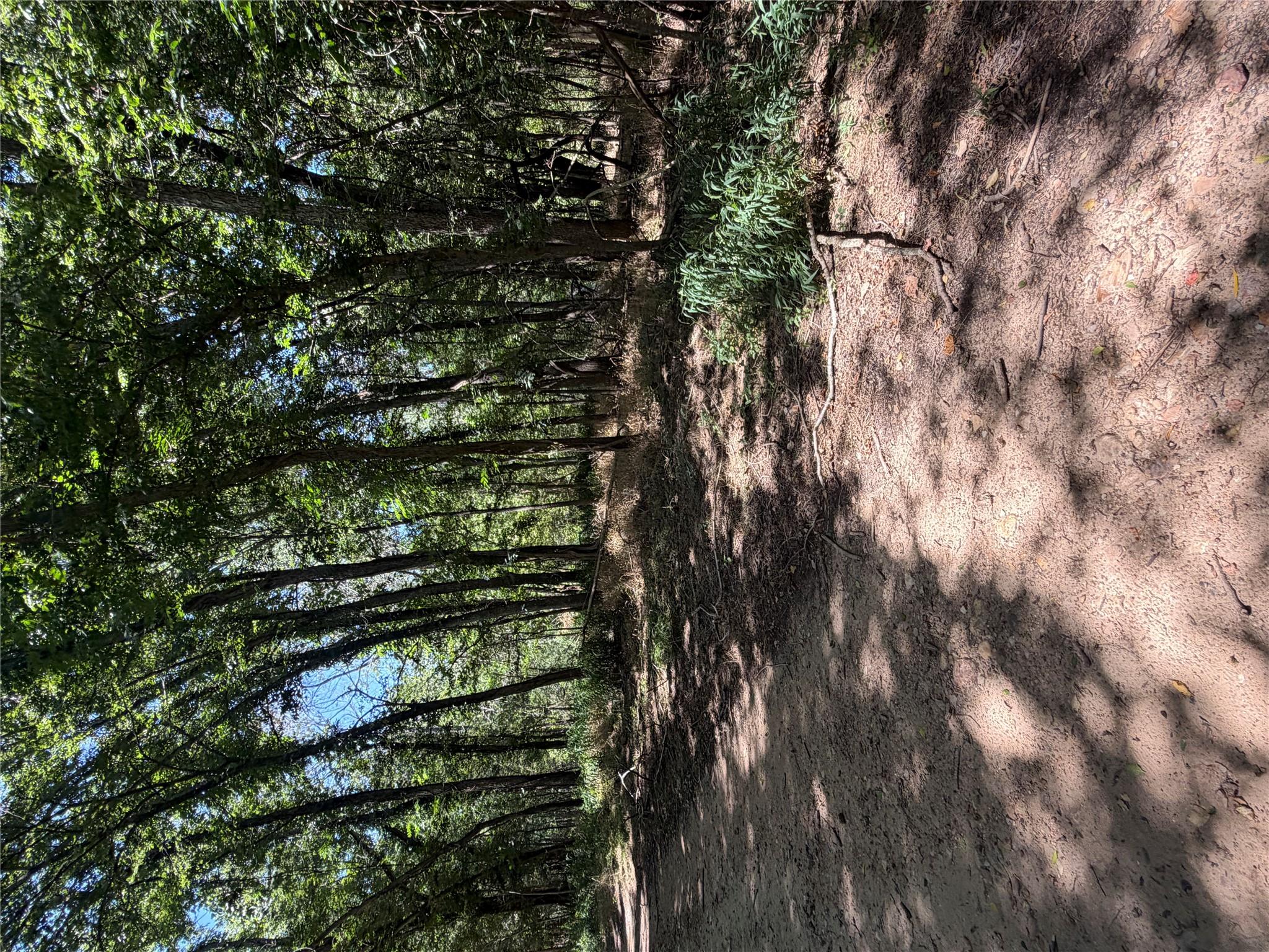 Lot 677 Kaukonahua LN, Bastrop, TX 78602 photo 3
