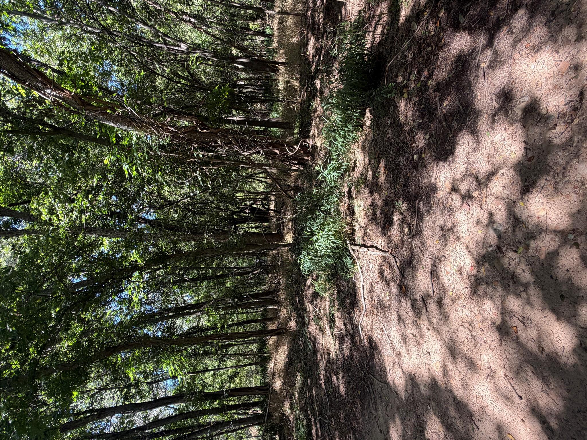 Lot 677 Kaukonahua LN, Bastrop, TX 78602 photo 5