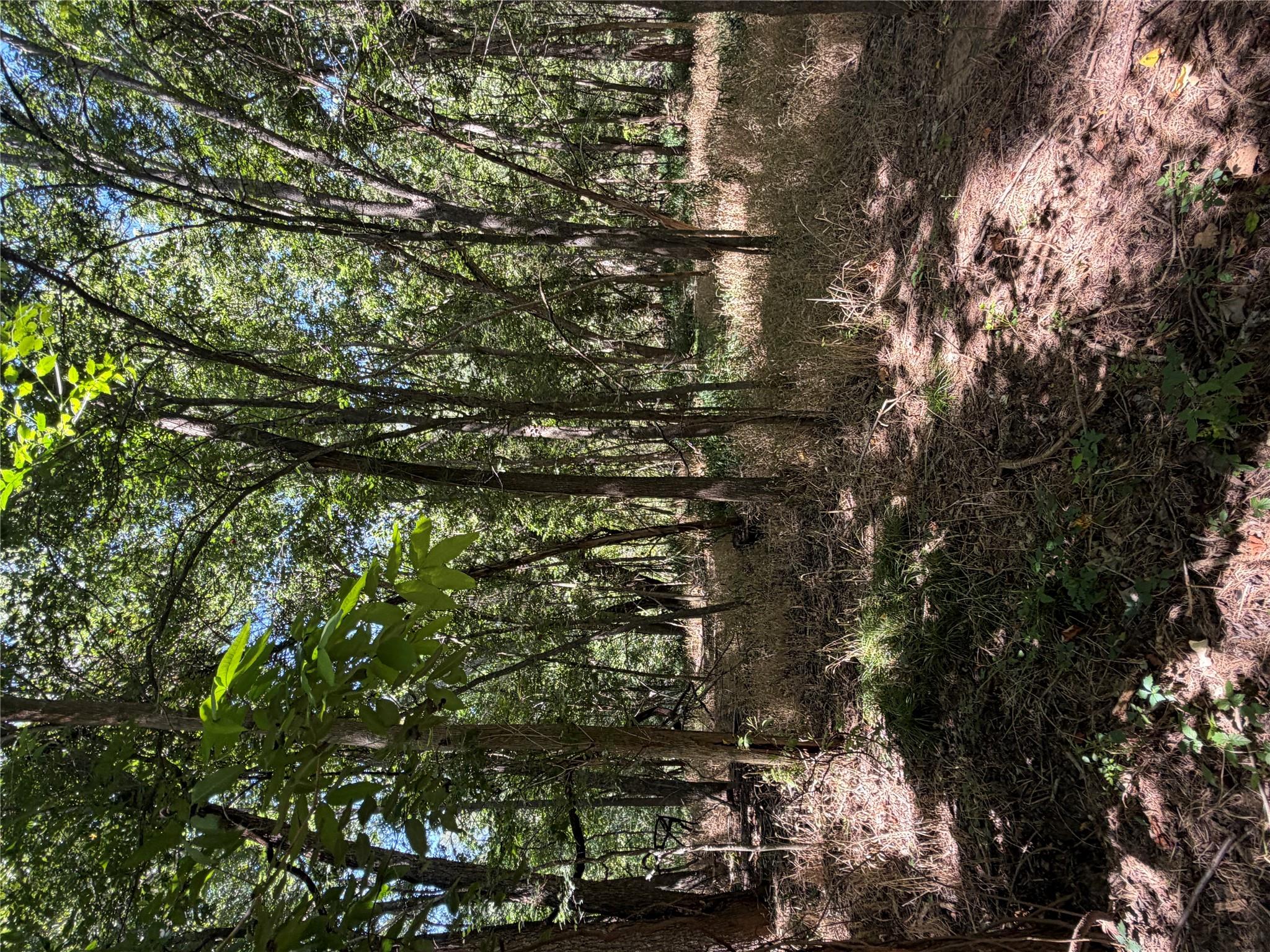 Lot 677 Kaukonahua LN, Bastrop, TX 78602 photo 4