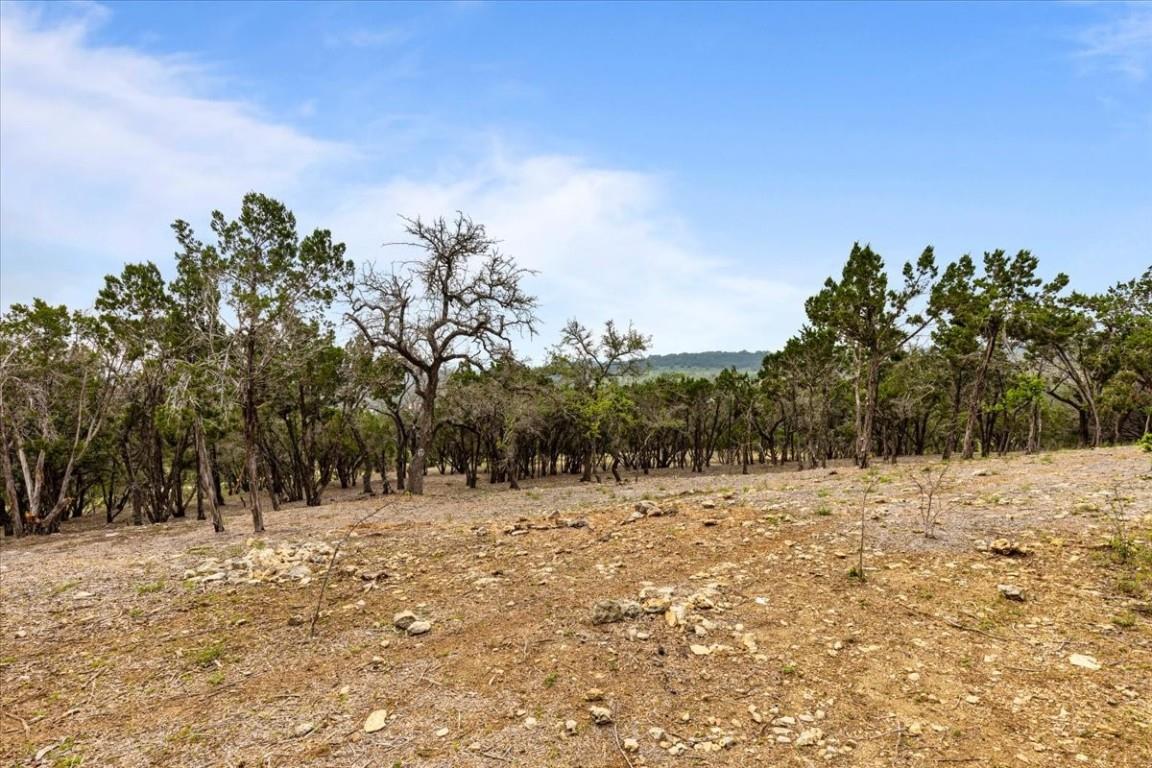 4519 Crawford RD, Spicewood, TX 78669 photo 5